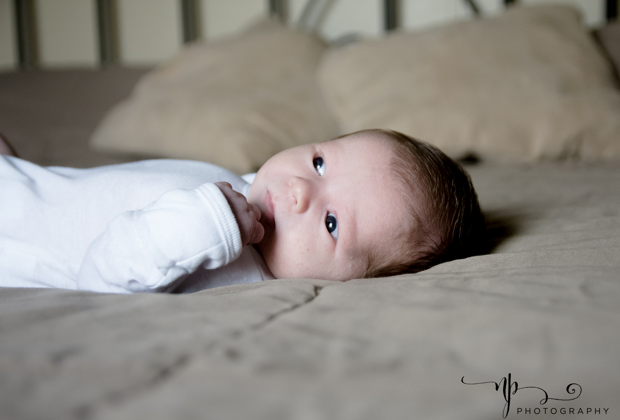 newborn lifestyle, Bemus Point Photography