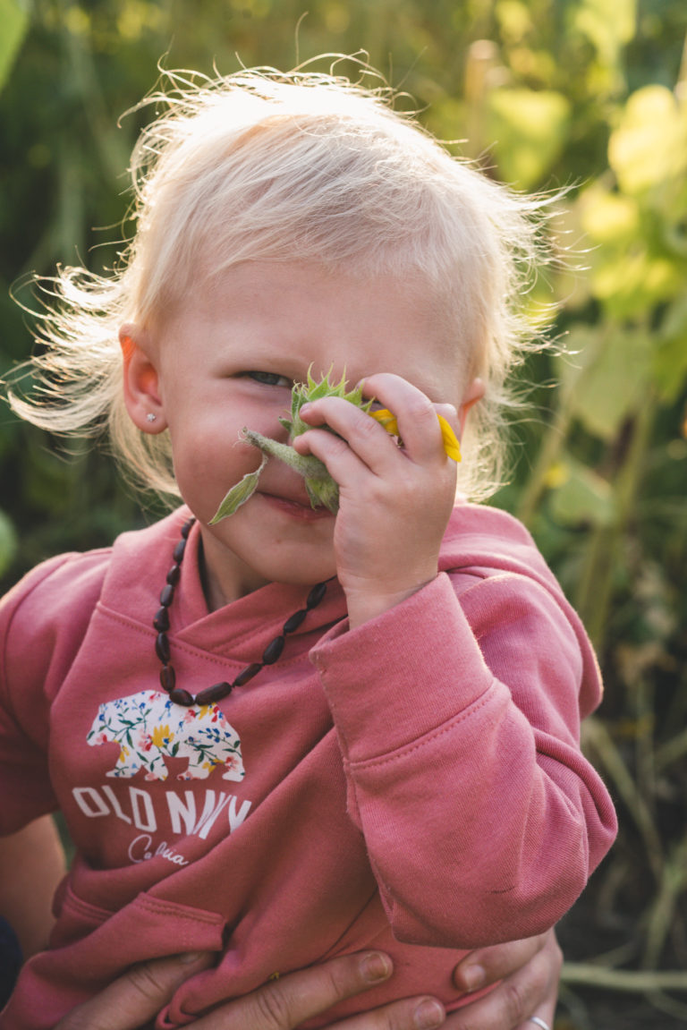 girl, kids, family, sunflower field, Bemus Point Photographer, NP Photography